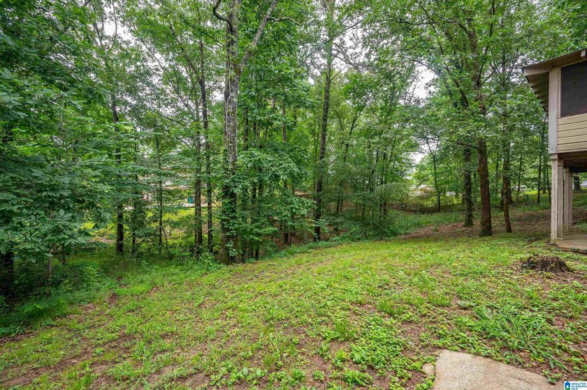 Welcome to 13265 Donna Drive in Million Dollar Lakes, where - photo 42
