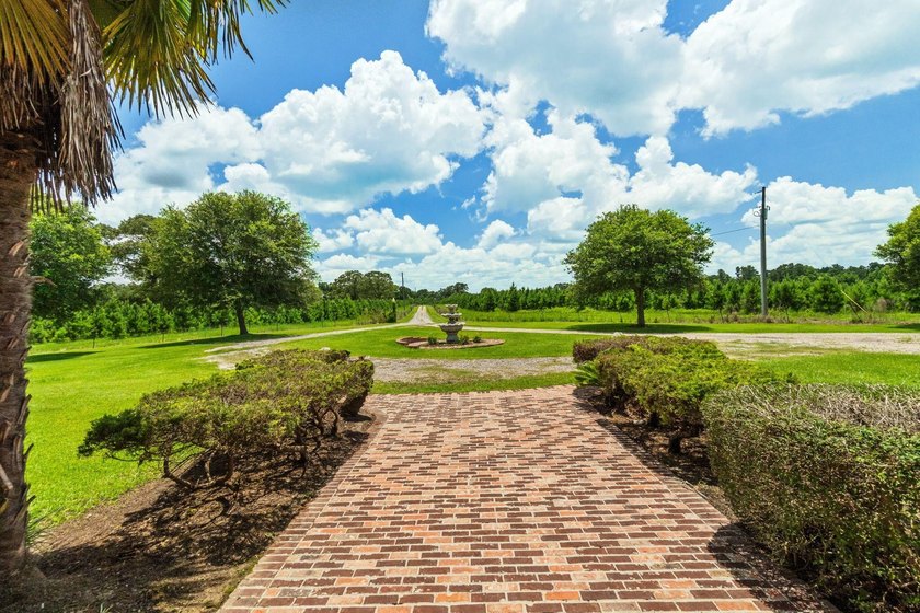 Exceptional custom home built circa 2007, offering 5 bedrooms, 5 - photo 6