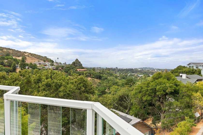 A Haskins Estate Masterpiece, this 2019-remodeled designer home - photo 8