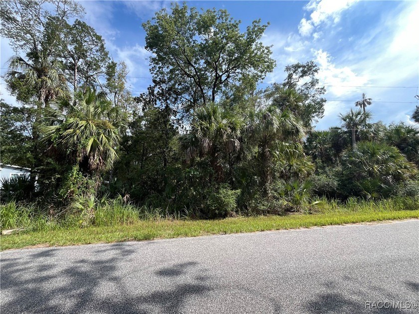 Build your Florida dream in Old Homosassa! This vacant 0.47 lot - photo 2