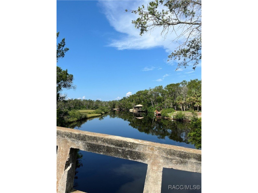 Build your Florida dream in Old Homosassa! This vacant 0.47 lot - photo 4