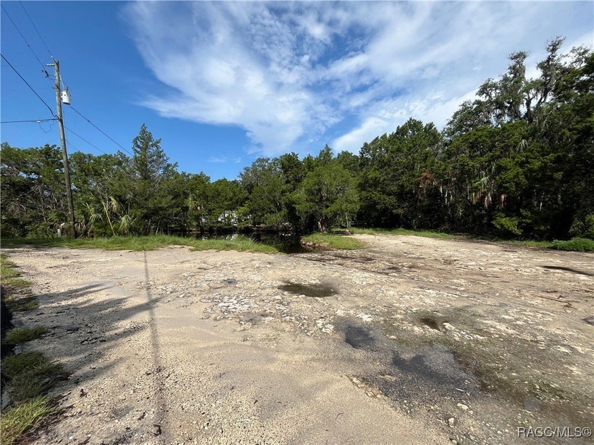 Build your Florida dream in Old Homosassa! This vacant 0.47 lot - photo 5