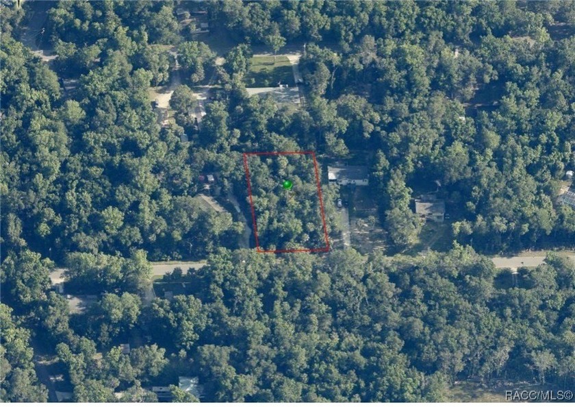 Build your Florida dream in Old Homosassa! This vacant 0.47 lot - photo 6