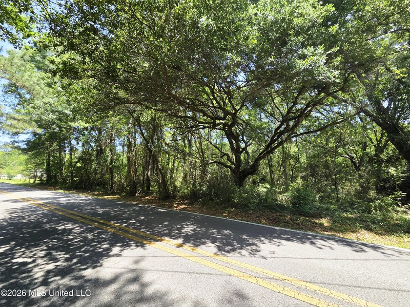 Discover 1.21 acres of opportunity on Old Spanish Trail in - photo 2