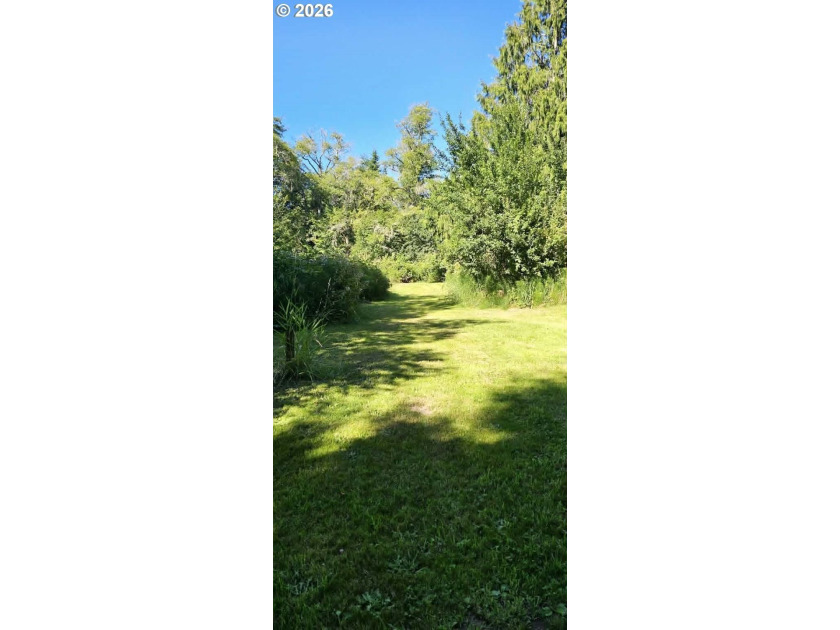 Opportunity awaits on .78 acre lot in Mist Or! ZONED CO:RC= - photo 6
