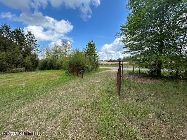 Stunning 120-Acre Recreational Retreat Near Tylertown Discover - photo 2