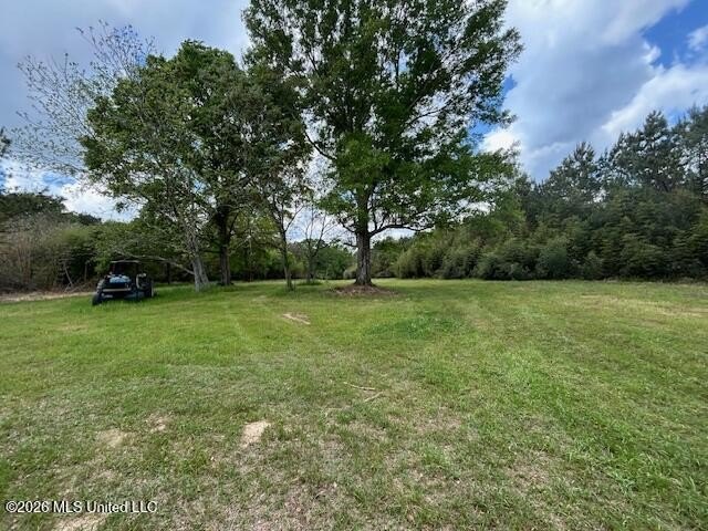 Stunning 120-Acre Recreational Retreat Near Tylertown Discover - photo 3