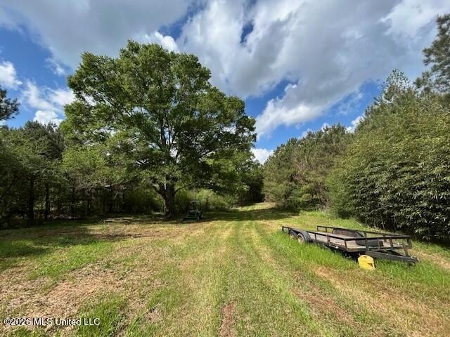 Stunning 120-Acre Recreational Retreat Near Tylertown Discover - photo 6