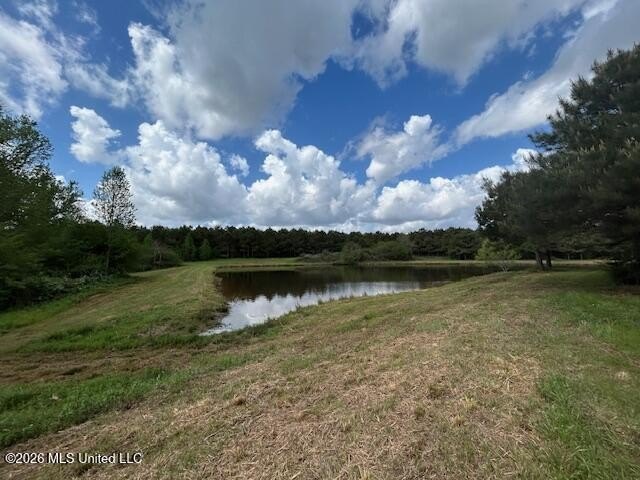 Stunning 120-Acre Recreational Retreat Near Tylertown Discover - photo 8