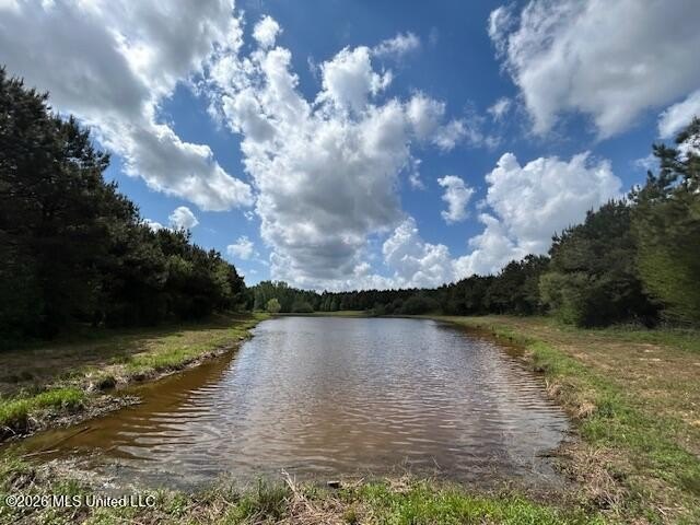 Stunning 120-Acre Recreational Retreat Near Tylertown Discover - photo 10