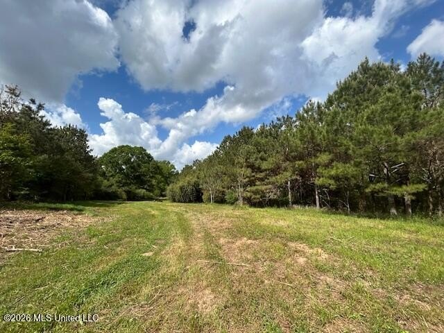 Stunning 57-Acre Recreational Retreat Near Tylertown Discover - photo 4