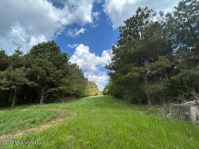 Stunning 57-Acre Recreational Retreat Near Tylertown Discover - photo 5