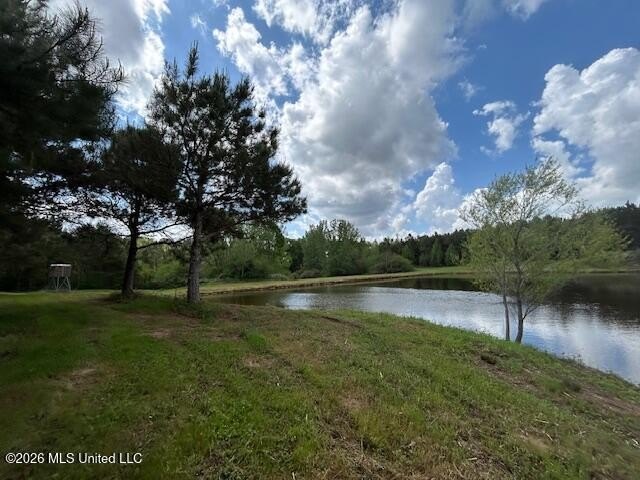 Stunning 57-Acre Recreational Retreat Near Tylertown Discover - photo 8