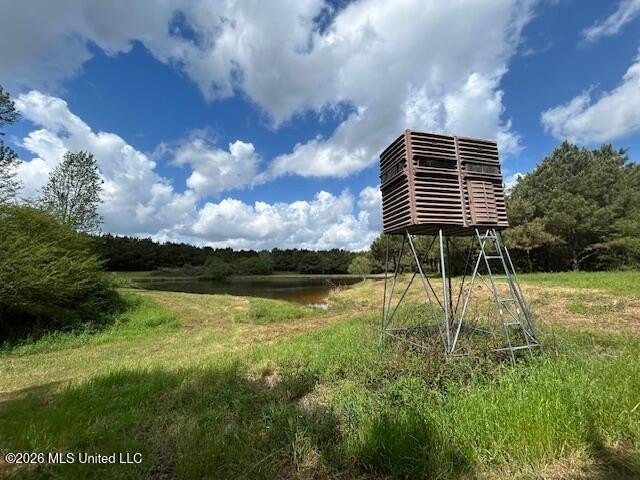 Stunning 57-Acre Recreational Retreat Near Tylertown Discover - photo 10