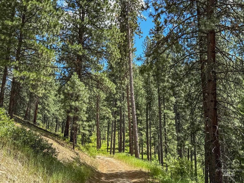 Bordering BLM land that fronts onto National Forest with direct - photo 15