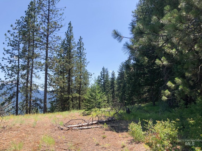 Bordering BLM land that fronts onto National Forest with direct - photo 25