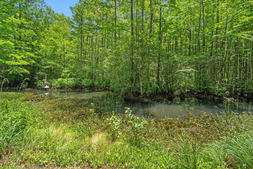 Nestled on over an acre of waterfront property in the desirable - photo 30
