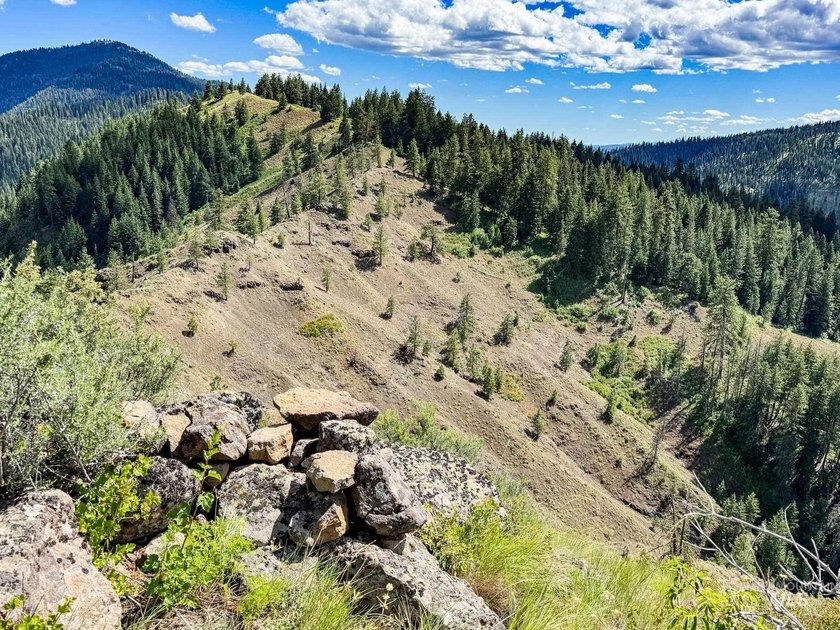 Bordering BLM land that fronts onto National Forest with direct - photo 31