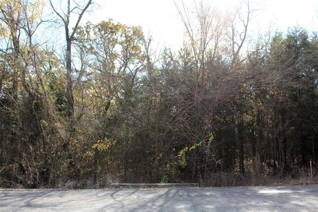 4.6 Acres Near the Red River - Build Your Dream Home or Hunting - photo 2