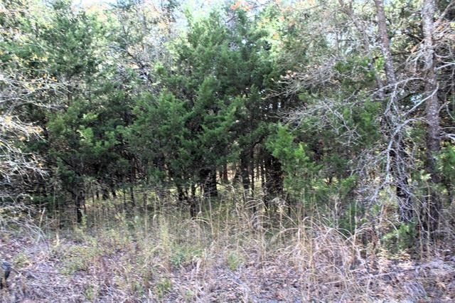 4.6 Acres Near the Red River - Build Your Dream Home or Hunting - photo 6