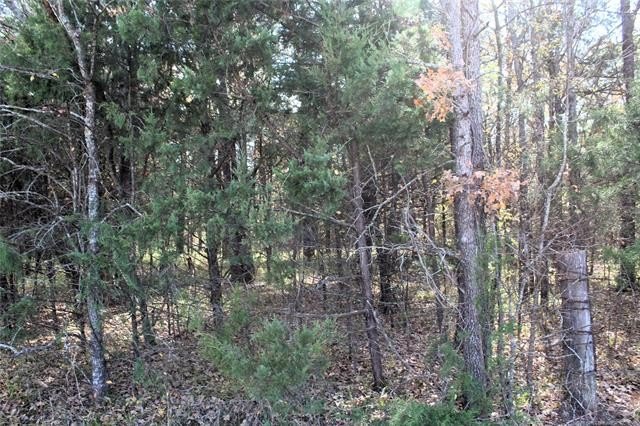 4.6 Acres Near the Red River - Build Your Dream Home or Hunting - photo 7