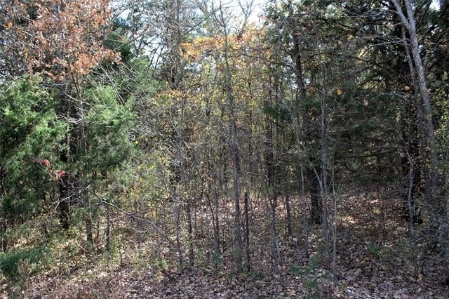 4.6 Acres Near the Red River - Build Your Dream Home or Hunting - photo 8