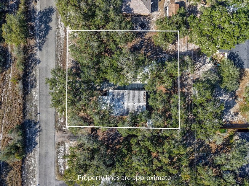 Tucked beneath the shade of towering coastal live oaks, this - photo 15