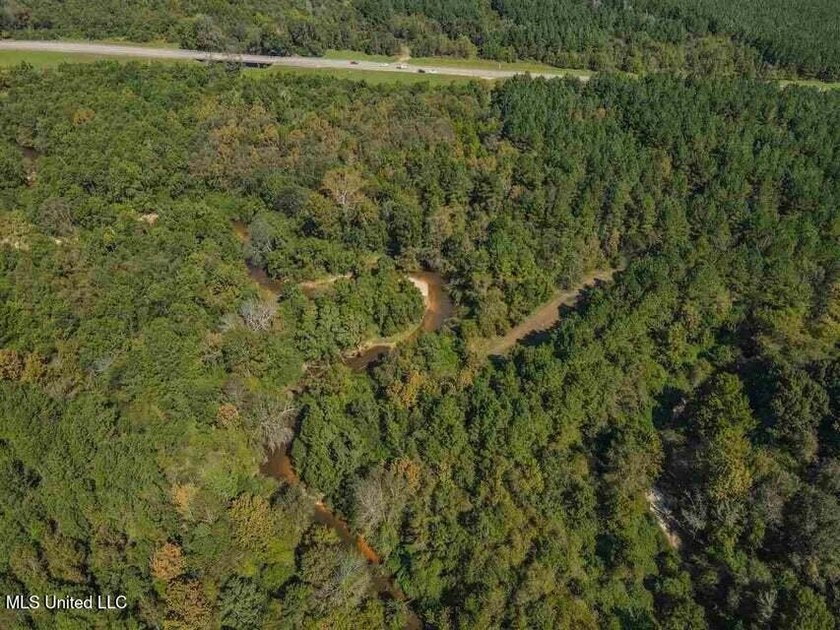 Are you looking for hunting land, or a nice mature track of - photo 14