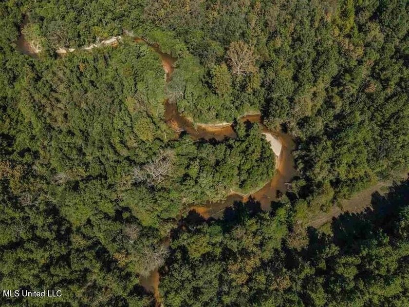 Are you looking for hunting land, or a nice mature track of - photo 15
