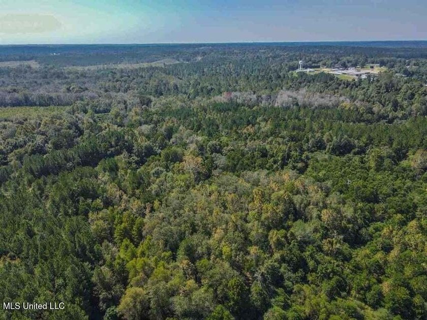 Are you looking for hunting land, or a nice mature track of - photo 17