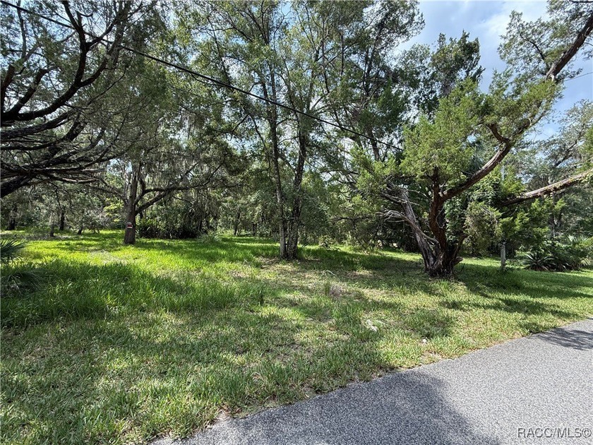Discover the charm of Old Homosassa with this opportunity to own - photo 4
