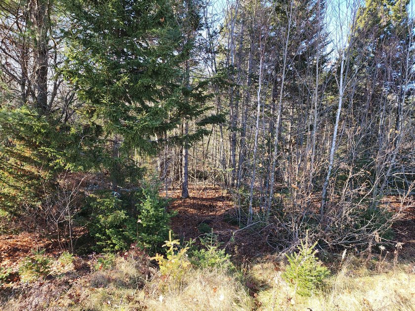 Welcome to the subdivision at Sandy Ridge. Situated in the - photo 3