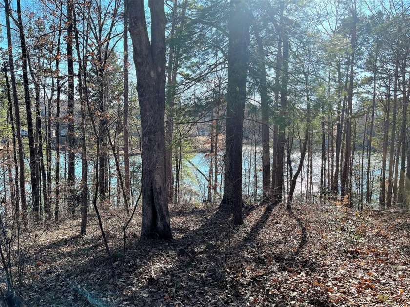 Lot 94 Peninsula Pointe South Peninsula Road Road, West Union, SC