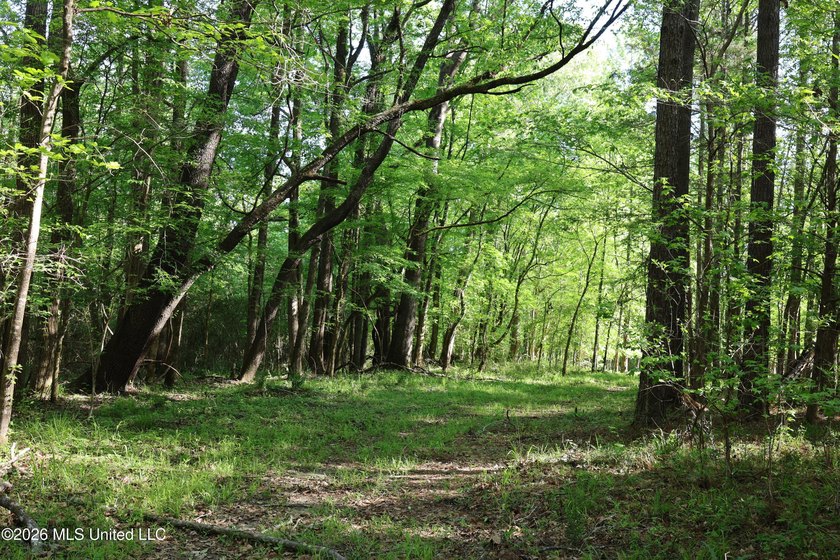 Nestled in the heart of Claiborne County, this exceptional - photo 3