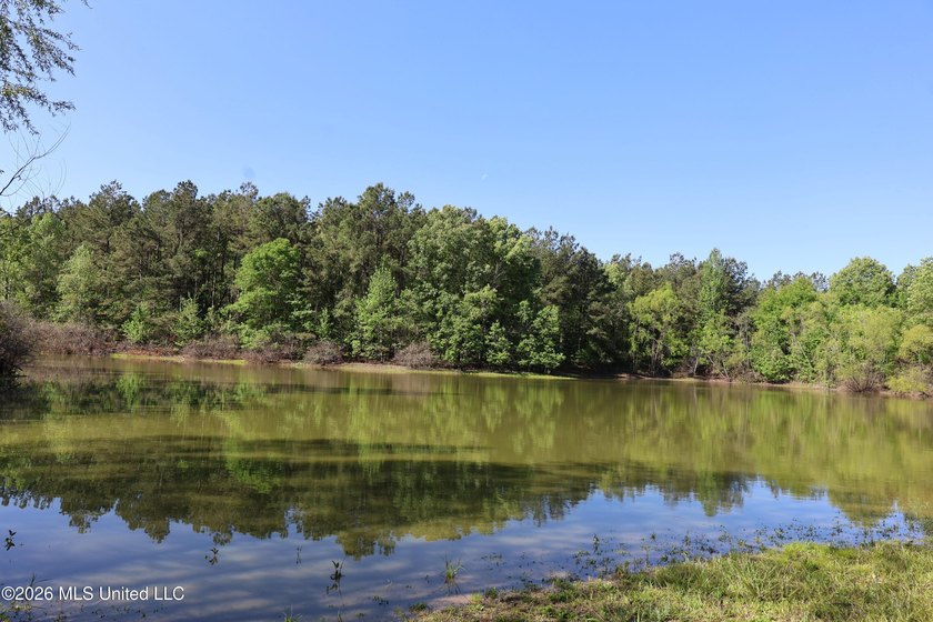 Nestled in the heart of Claiborne County, this exceptional - photo 4