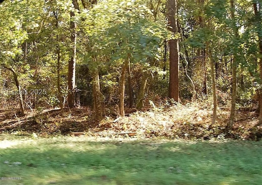 Just over an acre located on Laurel Bay Rd, just minutes to MCAS - photo 3