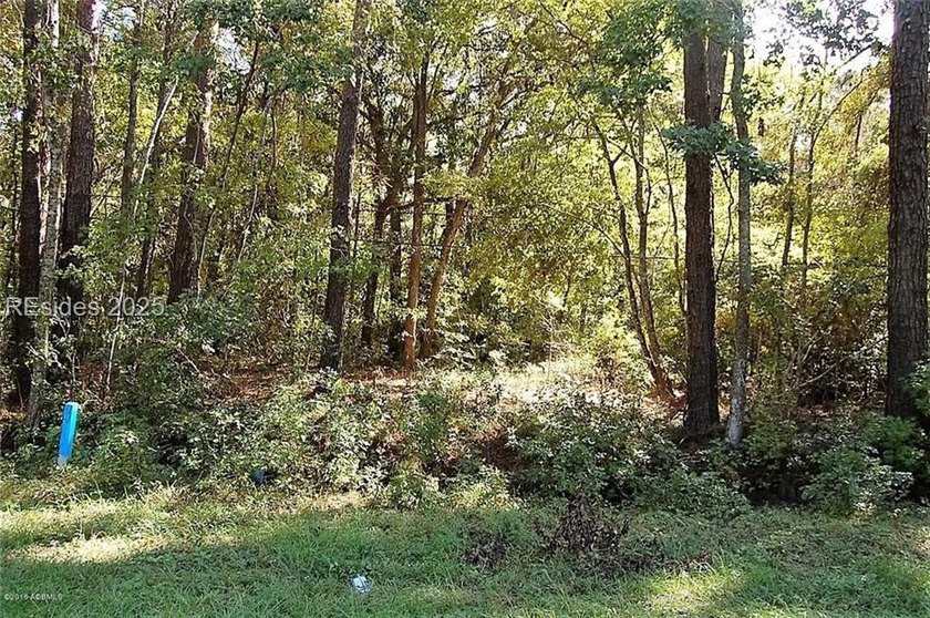 Just over an acre located on Laurel Bay Rd, just minutes to MCAS - photo 4