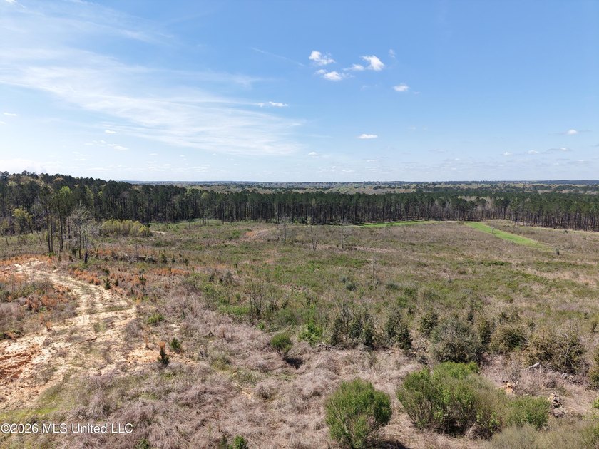 This 284.9+/- acre tract in Franklin County, Mississippi offers - photo 11