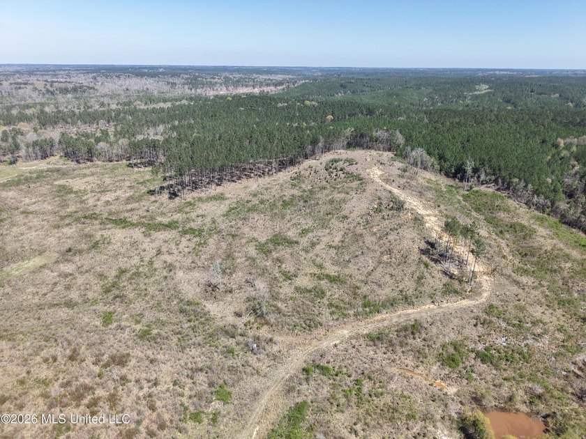 This 284.9+/- acre tract in Franklin County, Mississippi offers - photo 13