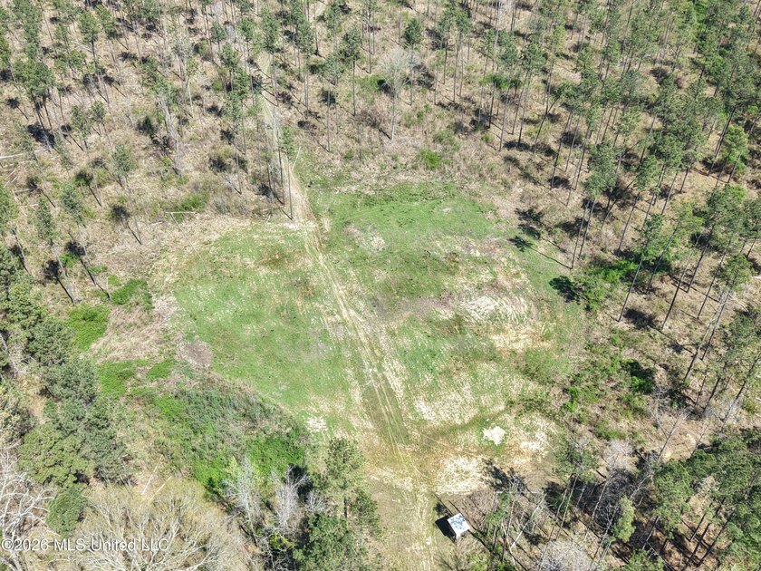 This 284.9+/- acre tract in Franklin County, Mississippi offers - photo 14