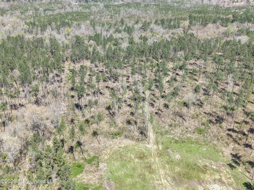 This 284.9+/- acre tract in Franklin County, Mississippi offers - photo 16