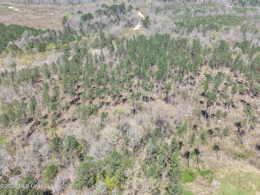 This 284.9+/- acre tract in Franklin County, Mississippi offers - photo 17