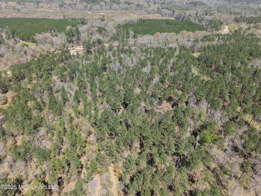 This 284.9+/- acre tract in Franklin County, Mississippi offers - photo 19