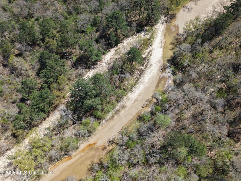This 284.9+/- acre tract in Franklin County, Mississippi offers - photo 20
