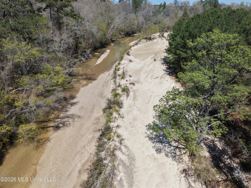 This 284.9+/- acre tract in Franklin County, Mississippi offers - photo 21