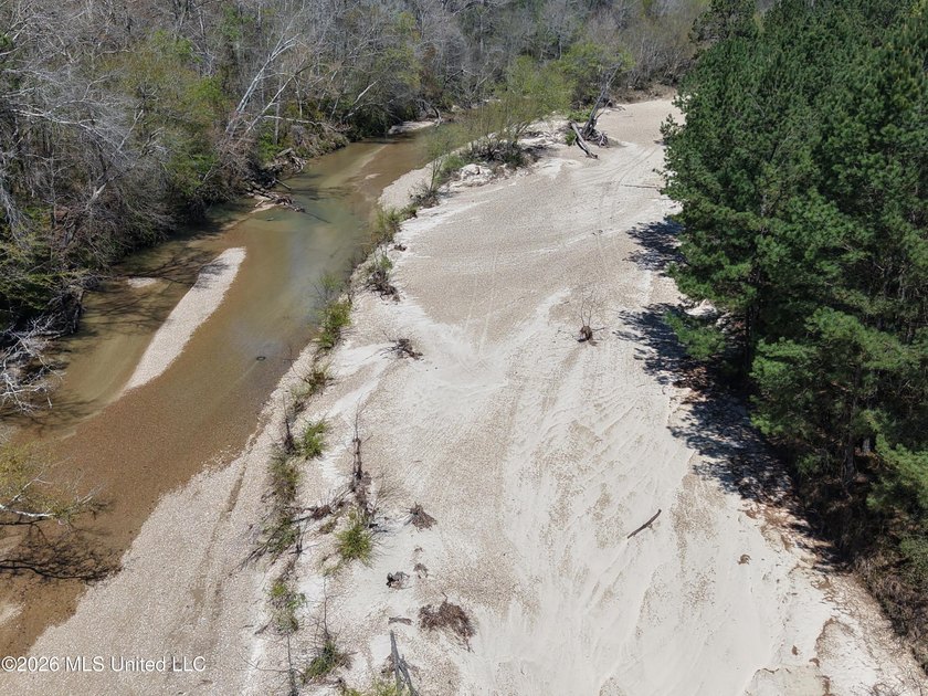 This 284.9+/- acre tract in Franklin County, Mississippi offers - photo 22