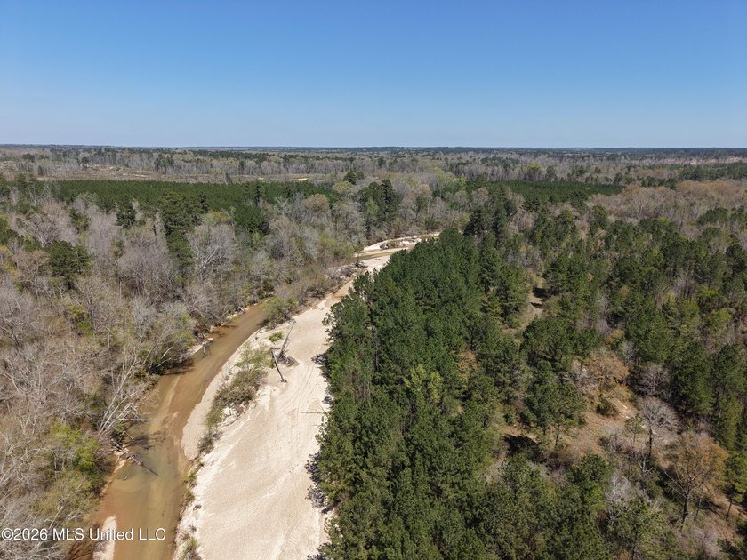 This 284.9+/- acre tract in Franklin County, Mississippi offers - photo 23