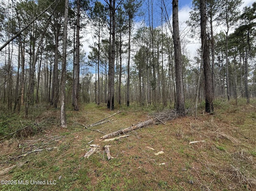This 284.9+/- acre tract in Franklin County, Mississippi offers - photo 31