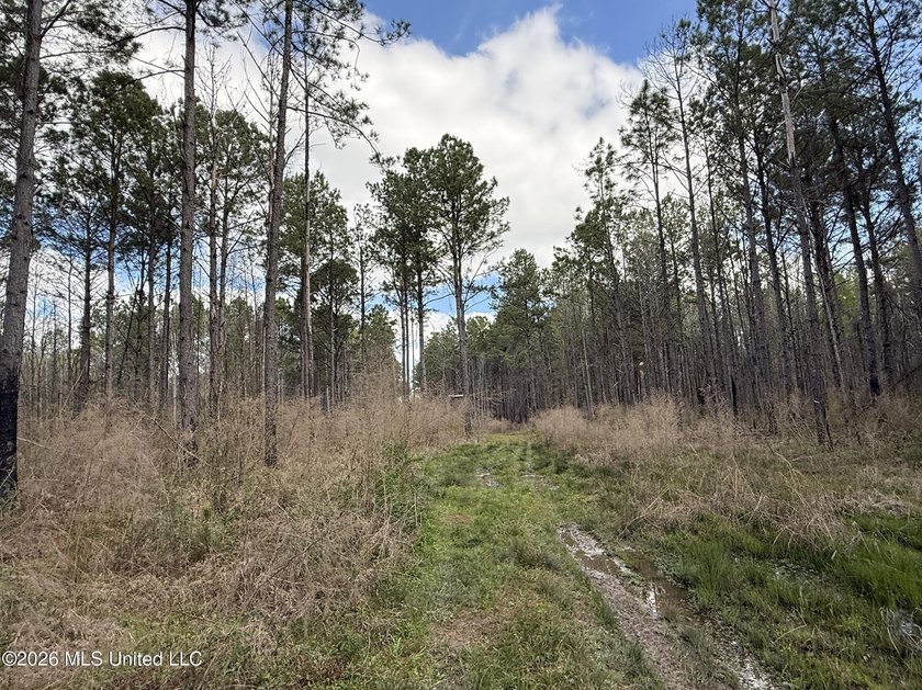 This 284.9+/- acre tract in Franklin County, Mississippi offers - photo 33