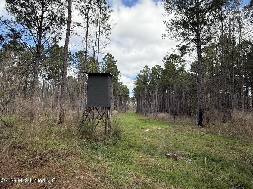 This 284.9+/- acre tract in Franklin County, Mississippi offers - photo 34